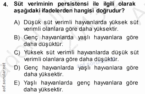 4. soru: Süt veriminin persistensi ile ilgili olarak aşağıdaki ifadelerden hangisi doğrudur? A) Düşük süt verimli hayvanlarda…