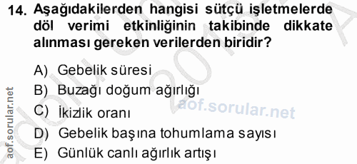 14. soru: Aşağıdakilerden hangisi sütçü işletmelerde döl verimi etkinliğinin takibinde dikkate alınması gereken verilerden biri…