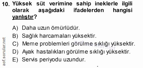 10. soru: Yüksek süt verimine sahip ineklerle ilgili olarak aşağıdaki ifadelerden hangisi yanlıştır? A) Daha uzun ömürlüdür. B)…
