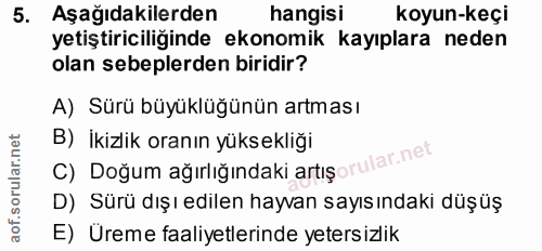 5. soru: Aşağıdakilerden hangisi koyun-keçi yetiştiriciliğinde ekonomik kayıplara neden olan sebeplerden biridir? A) Sürü büyü…