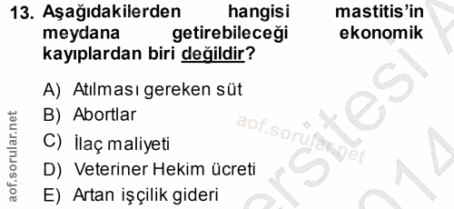 13. soru: Aşağıdakilerden hangisi mastitis'in meydana getirebileceği ekonomik kayıplardan biri değildir? A) Atılması gereken sü…