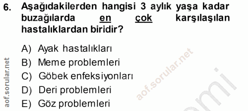 6. soru: Aşağıdakilerden hangisi 3 aylık yaşa kadar buzağılarda en cok karşılaşılan hastalıklardan biridir? A) Ayak hastalıkla…