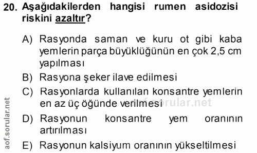 20. soru: Aşağıdakilerden hangisi rumen asidozisi riskini azaltır? A) Rasyonda saman ve kuru ot gibi kaba yemlerin parça büyükl…