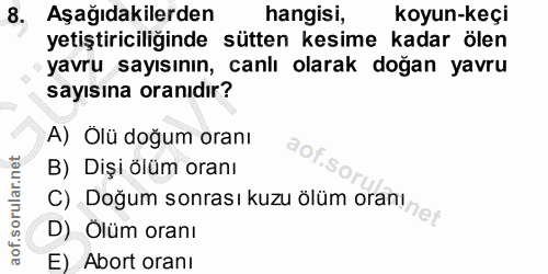 8. soru: Aşağıdakilerden hangisi, koyun-keçi yetiştiriciliğinde sütten kesime kadar ölen yavru sayısının, canlı olarak doğan y…