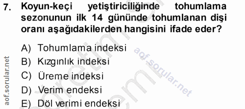 7. soru: Koyun-keçi yetiştiriciliğinde tohumlama sezonunun ilk 14 gününde tohumlanan dişi oranı aşağıdakilerden hangisini ifad…