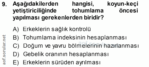 9. soru: Aşağıdakilerden hangisi, koyun-keçi yetiştiriciliğinde tohumlama öncesi yapılması gerekenlerden biridir? A) Erkekleri…