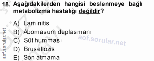 18. soru: Aşağıdakilerden hangisi beslenmeye bağlı metabolizma hastalığı değildir? A) Laminitis B) Abomasum deplasmanı C) Süt h…