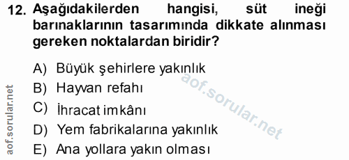 12. soru: Aşağıdakilerden hangisi, süt ineği barınaklarının tasarımında dikkate alınması gereken noktalardan biridir? A) Büyük…