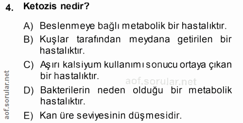 4. soru: Ketozis nedir? A) Beslenmeye bağlı metabolik bir hastalıktır. B) Kuşlar tarafından meydana getirilen bir hastalıktır.…