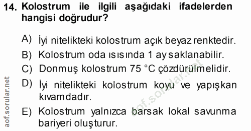 14. soru: Kolostrum ile ilgili aşağıdaki ifadelerden hangisi doğrudur? A) İyi nitelikteki kolostrum açık beyaz renktedir. B) Ko…