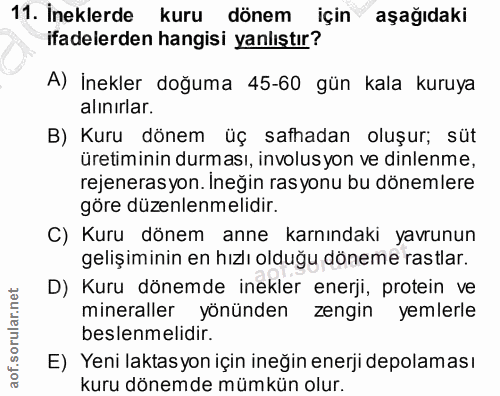 11. soru: İneklerde kuru dönem için aşağıdaki ifadelerden hangisi yanlıştır? A) İnekler doğuma 45-60 gün kala kuruya alınırlar.…