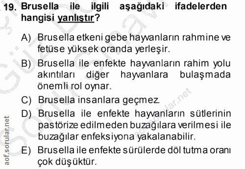 19. soru: Brusella ile ilgili aşağıdaki ifadelerden hangisi yanlıştır? A) Brusella etkeni gebe hayvanların rahmine ve fetüse yü…