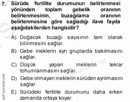 7. soru: Sürüde fertilite durumunun belirlenmesi yönünden toplam gebelik oranının belirlenmesinin, buzağılama oranının belirle…