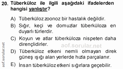 20. soru: Tüberküloz ile ilgili aşağıdaki ifadelerden hangisi yanlıştır? A) Tüberküloz zoonoz bir hastalık değildir. B) Sığır,…