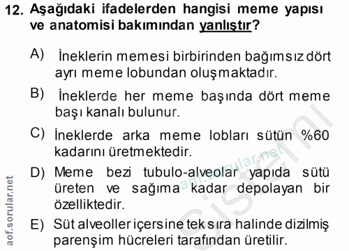 12. soru: Aşağıdaki ifadelerden hangisi meme yapısı ve anatomisi bakımından yanlıştır? A) İneklerin memesi birbirinden bağımsız…