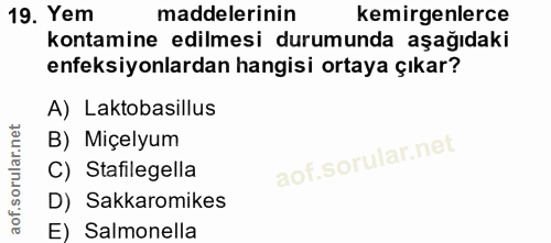 19. soru: Yem maddelerinin kemirgenlerce kontamine edilmesi durumunda aşağıdaki enfeksiyonlardan hangisi ortaya çıkar? A) Lakto…