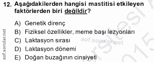 12. soru: Aşağıdakilerden hangisi mastitisi etkileyen faktörlerden biri değildir? A) Genetik direnç B) Fiziksel özellikler, mem…