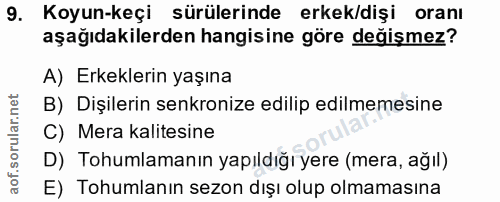 9. soru: Koyun-keçi sürülerinde erkek/dişi oranı aşağıdakilerden hangisine göre değişmez? A) Erkeklerin yaşına B) Dişilerin se…