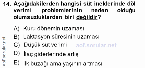 14. soru: Aşağıdakilerden hangisi süt ineklerinde döl verimi problemlerinin neden oldugu olumsuzluklardan biri değildir? A) Kur…
