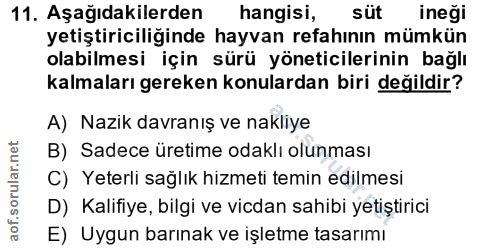 11. soru: Aşağıdakilerden hangisi, süt ineği yetiştiriciliğinde hayvan refahının mümkün olabilmesi için sürü yöneticilerinin ba…