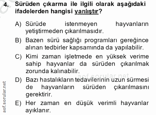 4. soru: Sürüden çıkarma ile ilgili olarak aşağıdaki ifadelerden hangisi yanlıştır? A) Sürüde istenmeyen hayvanların yetiştırm…