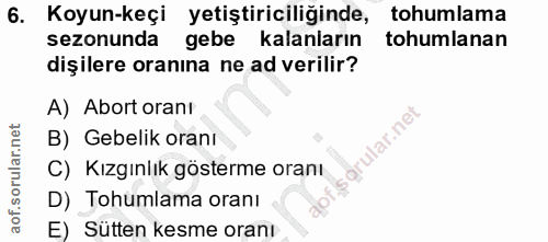 6. soru: Koyun-keçi yetiştiriciliğinde, tohumlama sezonunda gebe kalanların tohumlanan dişilere oranına ne ad verilir? A) Abor…