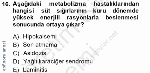 16. soru: Aşağıdaki | metabolizma ı hastalıklarından hangisi süt sığırlarının kuru dönemde yüksek enerjili rasyonlarla beslenme…