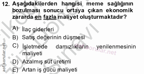 12. soru: Aşağıdakilerden hangisi meme sağlığının bozulması sonucu ortaya çıkan ekonomik zararda en fazla maliyet oluşturmaktad…