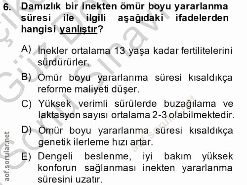 6. soru: Damızlık bir inekten ömür boyu yararlanma süresi ile ilgili aşağıdaki ifadelerden hangisi yanlıştır? A) İnekler ortal…