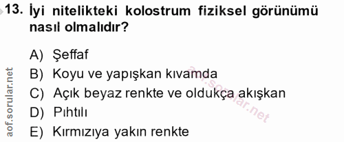 13. soru: İyi nitelikteki kolostrum fiziksel görünümü nasıl olmalıdır? A) Şeffaf B) Koyu ve yapışkan kıvamda C) Açık beyaz renk…