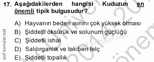 17. soru: Aşağıdakilerden hangisi Kuduzun en önemli tipik bulgusudur? A) Hayvanın beden ısınını çok yüksek olması B) Şiddetli ö…