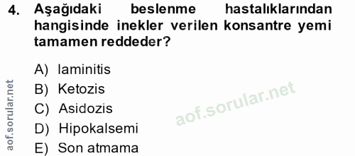 4. soru: Aşağıdaki beslenme hastalıklarından hangisinde inekler verilen konsantre yemi tamamen reddeder? A) laminitis B) Ketoz…