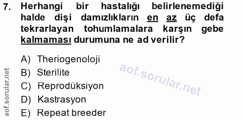 7. soru: Herhangi bir hastalığı belirlenemediği halde dişi damızlıkların en az üç defa tekrarlayan tohumlamalara karşın gebe k…