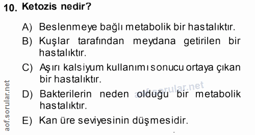 10. soru: Ketozis nedir? A) Beslenmeye bağlı metabolik bir hastalıktır. B) Kuşlar tarafından meydana getirilen bir hastalıktır.…