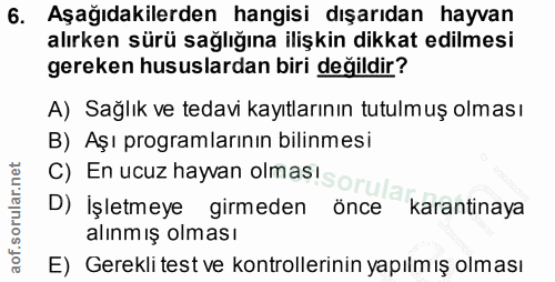6. soru: Aşağıdakilerden hangisi dışarıdan hayvan alırken sürü sağlığına ilişkin dikkat edilmesi gereken hususlardan biri deği…