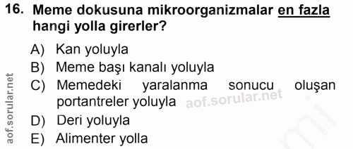 16. soru: Meme dokusuna mikroorganizmalar en fazla hangi yolla girerler? A) Kan yoluyla B) Meme başı kanalı yoluyla C) portantr…