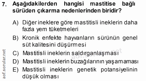 7. soru: Aşağıdakilerden hangisi mastitise bağlı sürüden çıkarma nedenlerinden biridir? A) Diğer ineklere göre mastitisli inek…