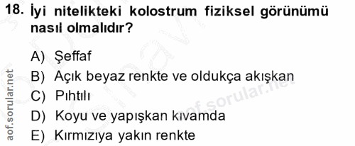 18. soru: İyi nitelikteki kolostrum fiziksel görünümü nasıl olmalıdır? A) Şeffaf B) Açık beyaz renkte ve oldukça akışkan C) Pıh…