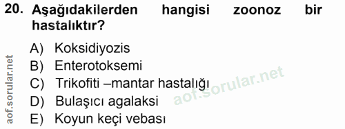 20. soru: Aşağıdakilerden hangisi zoonoz bir hastalıktır? A) Koksidiyozis C) Trikofiti -mantar hastaliğ' orular.net B) Enteroto…