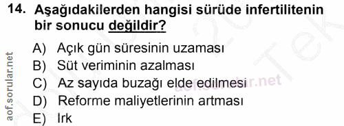 14. soru: Aşağıdakilerden hangisi sürüde infertilitenin bir sonucu değildir? A) Açık gün süresinin uzaması B) Süt veriminin aza…