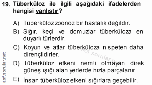 19. soru: Tüberküloz ile ilgili aşağıdaki ifadelerden hangisi yanlıştır? A) Tüberküloz zoonoz bir hastalık değildir. B) Sığır,…