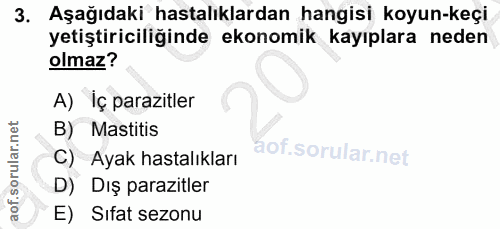 3. soru: Aşağıdaki hastalıklardan hangisi koyun-keçi yetiştiriciliğinde ekonomik kayıplara neden olmaz? A) İç parazitler B) Ma…