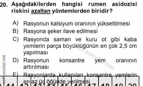 20. soru: Aşağıdakilerden hangisi rumen asidozisi riskini azaltan yöntemlerden biridir? A) Rasyonun kalsiyum oranının yükseltil…