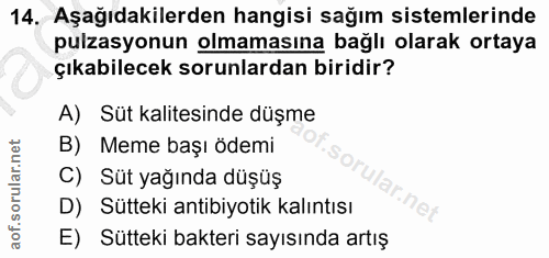 14. soru: Aşağıdakilerden hangisi sağım sistemlerinde pulzasyonun olmamasına bağlı olarak ortaya çıkabilecek sorunlardan biridi…