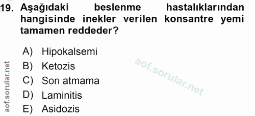 19. soru: Aşağıdaki beslenme hastalıklarından hangisinde inekler verilen konsantre yemi tamamen reddeder? A) Hipokalsemi B) Ket…