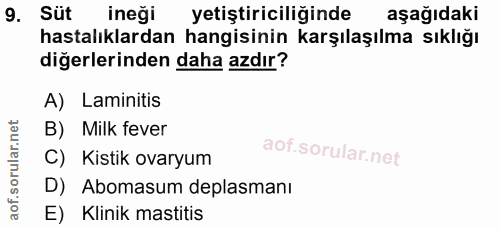 9. soru: Süt ineği yetiştiriciliğinde aşağıdaki hastalıklardan hangisinin karşılaşılma sıklığı diğerlerinden daha azdır? A) La…