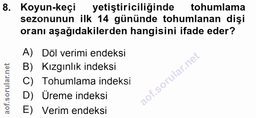 8. soru: Koyun-keçi yetiştiriciliğinde tohumlama sezonunun ilk 14 gününde tohumlanan dişi oranı aşağıdakilerden hangisini ifad…