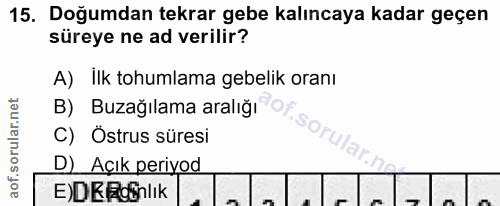 15. soru: Doğumdan tekrar gebe kalıncaya kadar geçen süreye ne ad verilir? A) ilk tohumlama gebelik oranı B) Buzağılama aralığı…