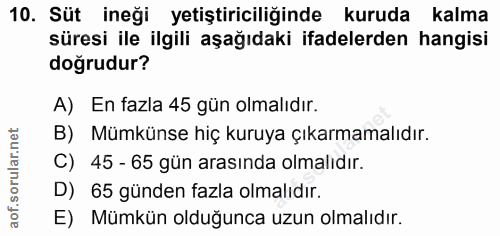 10. soru: Süt ineği yetiştiriciliğinde kuruda kalma süresi ile ilgili aşağıdaki ifadelerden hangisi doğrudur? A) En fazla 45 gü…