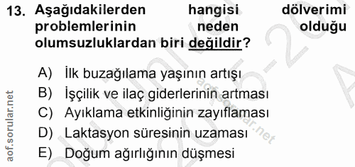 13. soru: Aşağıdakilerden hangisi döverimi problemlerinin neden olduğu olumsuzluklardan biri değildir? A) İlk buzağılama yaşını…